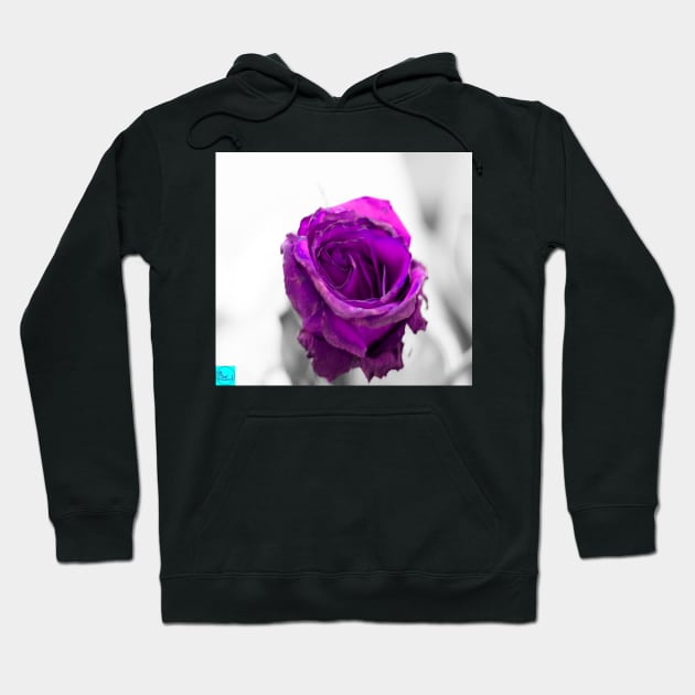 purple rose Hoodie by callalexi